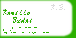 kamillo budai business card